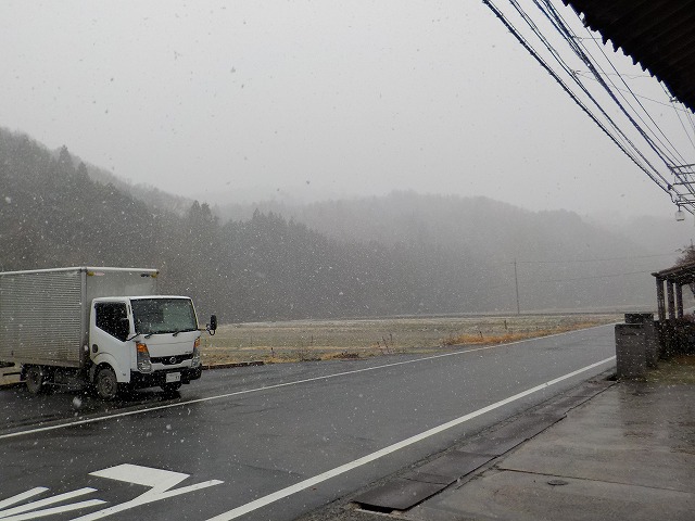 また、雪・・・でも、ね、菌は喜ぶかも。