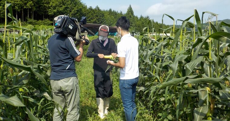 ＲＳＫテレビの取材がありました。