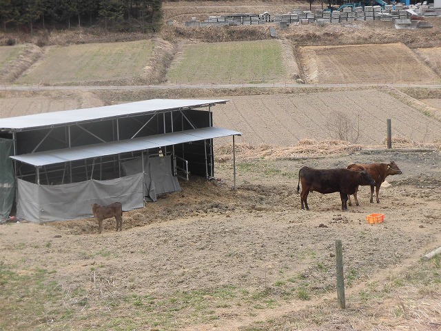 親の心、子しらずは動物共通？！