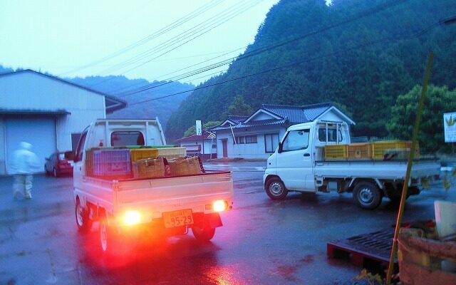 雨でもやります、直売所