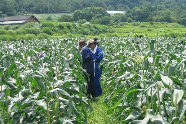 岡山市内の高校生徒が農業体験しました。
