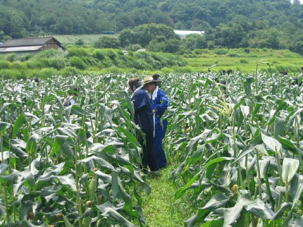 岡山市内の高校生徒が農業体験しました。