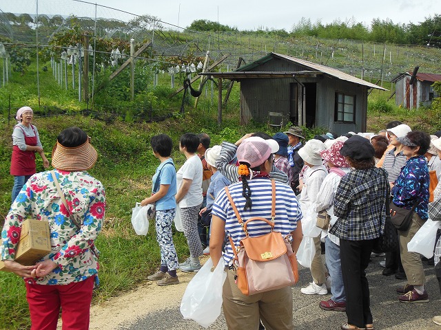 吉備中央町主催のぶどう狩りに来られました。