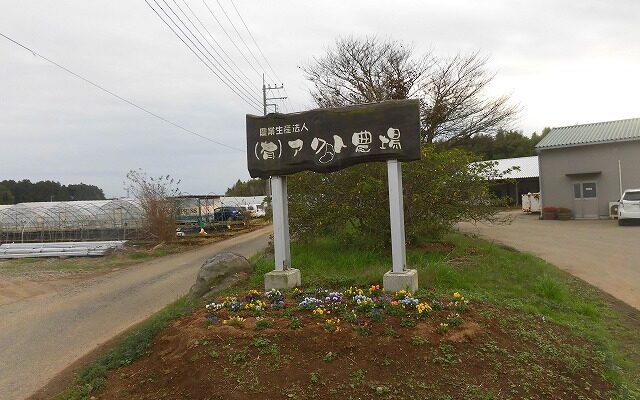 茨城県のアクト農場に視察に行きました