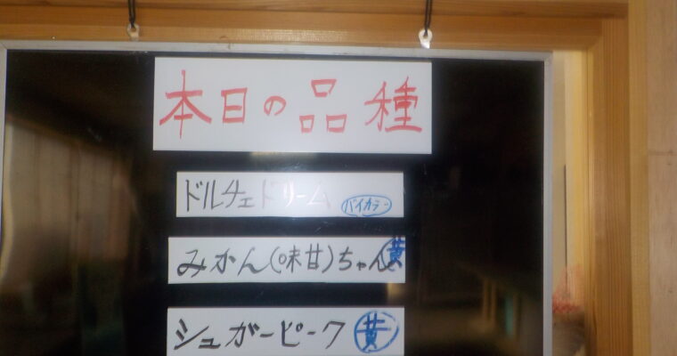 本日も昨日と同じ4品種です。アナグマ注意報発令中!