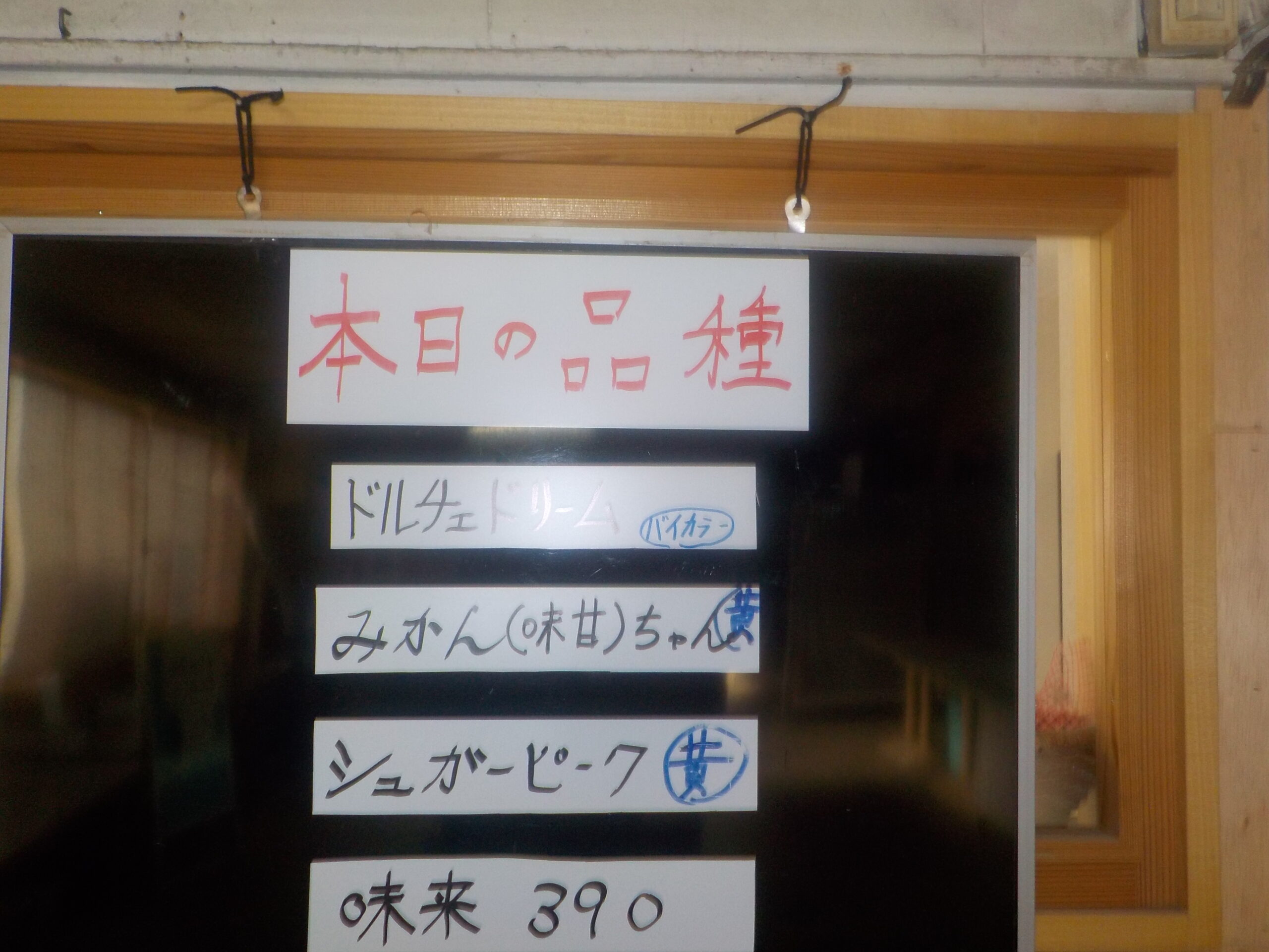 本日も昨日と同じ4品種です。アナグマ注意報発令中!