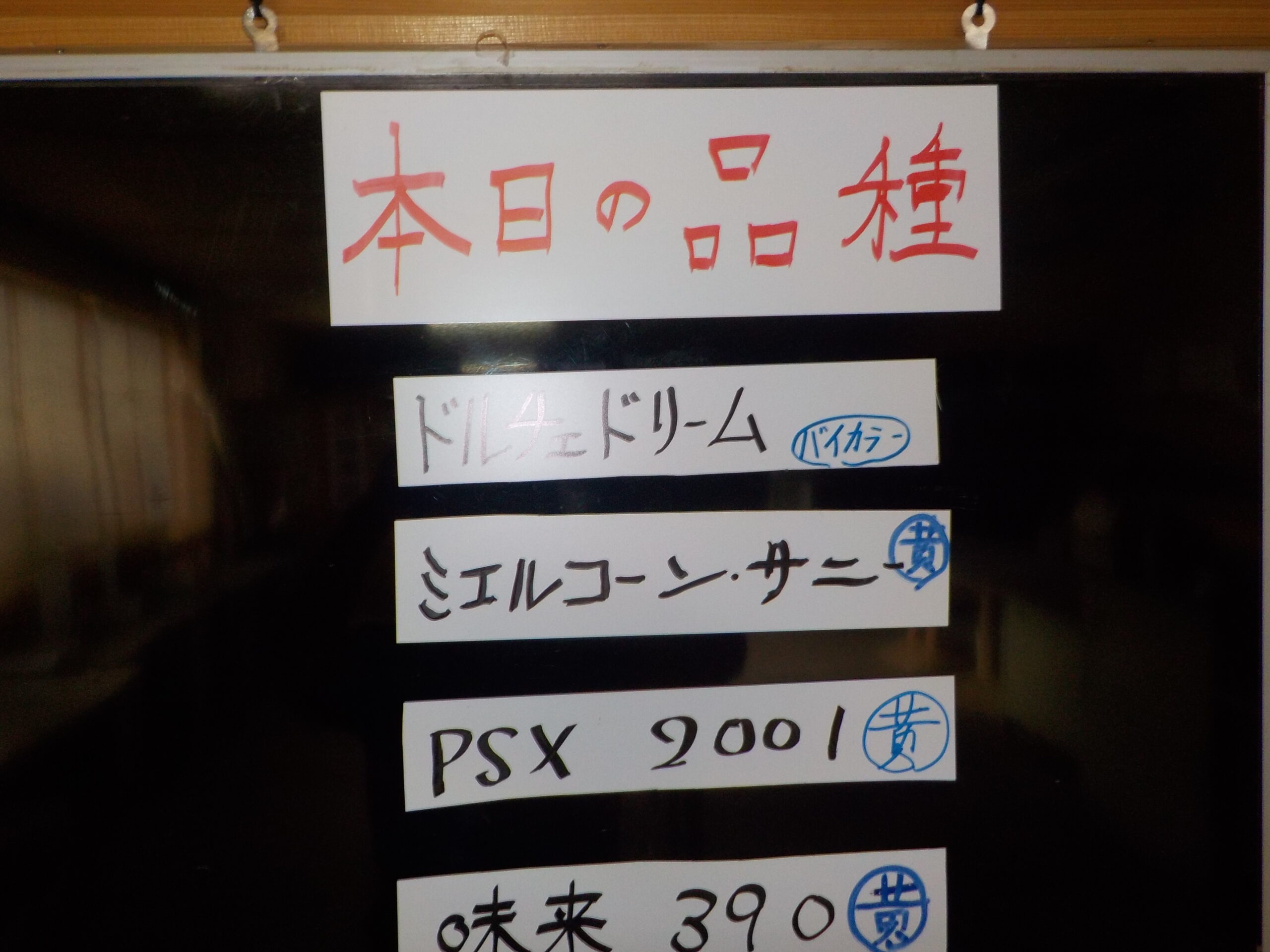 本日も昨日と同じ4品種です。