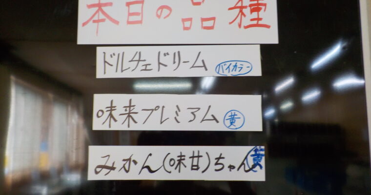 本日は４品種です。本日も発送中心です。