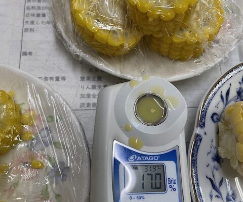 タヌキの糖度バロメーターを糖度計ではかると。
