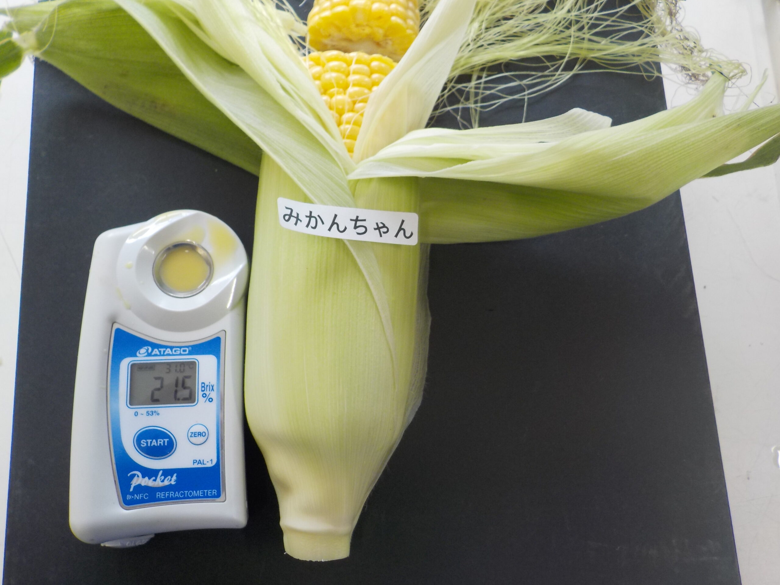 本日は５品種です。ごめん!「みかんちゃん」疑った私か悪かった。驚異の２１．５度。さすがです。