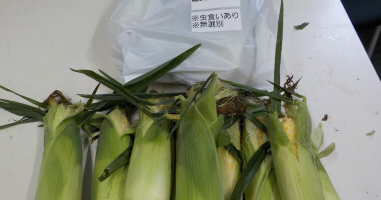 本日は4品種。ドリーム・プレミアム味来85・90・みかんちゃんホワイトです。虫害OKのタフな方、超お得な商品です。直売所限定! あれば・・・です。