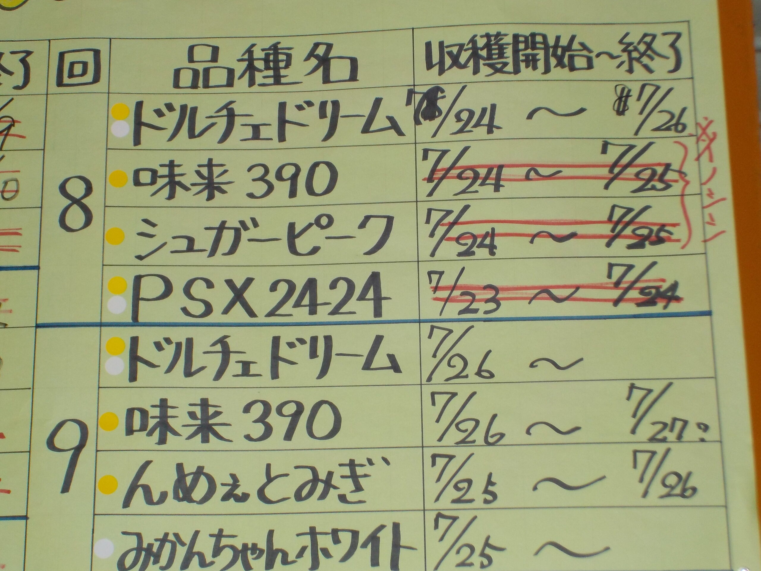 本日は4品種。乾燥の影響がでてきている回です。黄色系はサイズダウン、白系は上まできっちり実がつまつていないものが多いです。散水車を稼働させていますが、やはり雨に勝るものはありません。適当な量で、３時間程度は降ってもらいたいものです。