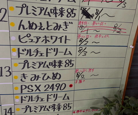 本日の営業は９時からです。