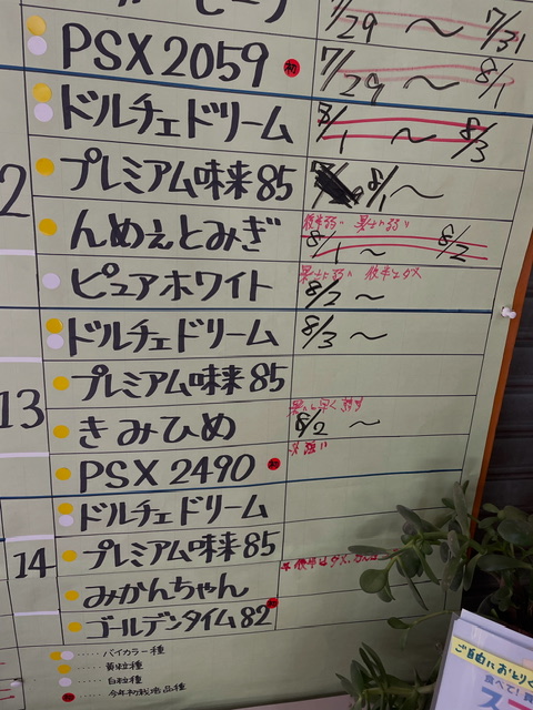 本日の営業は９時からです。