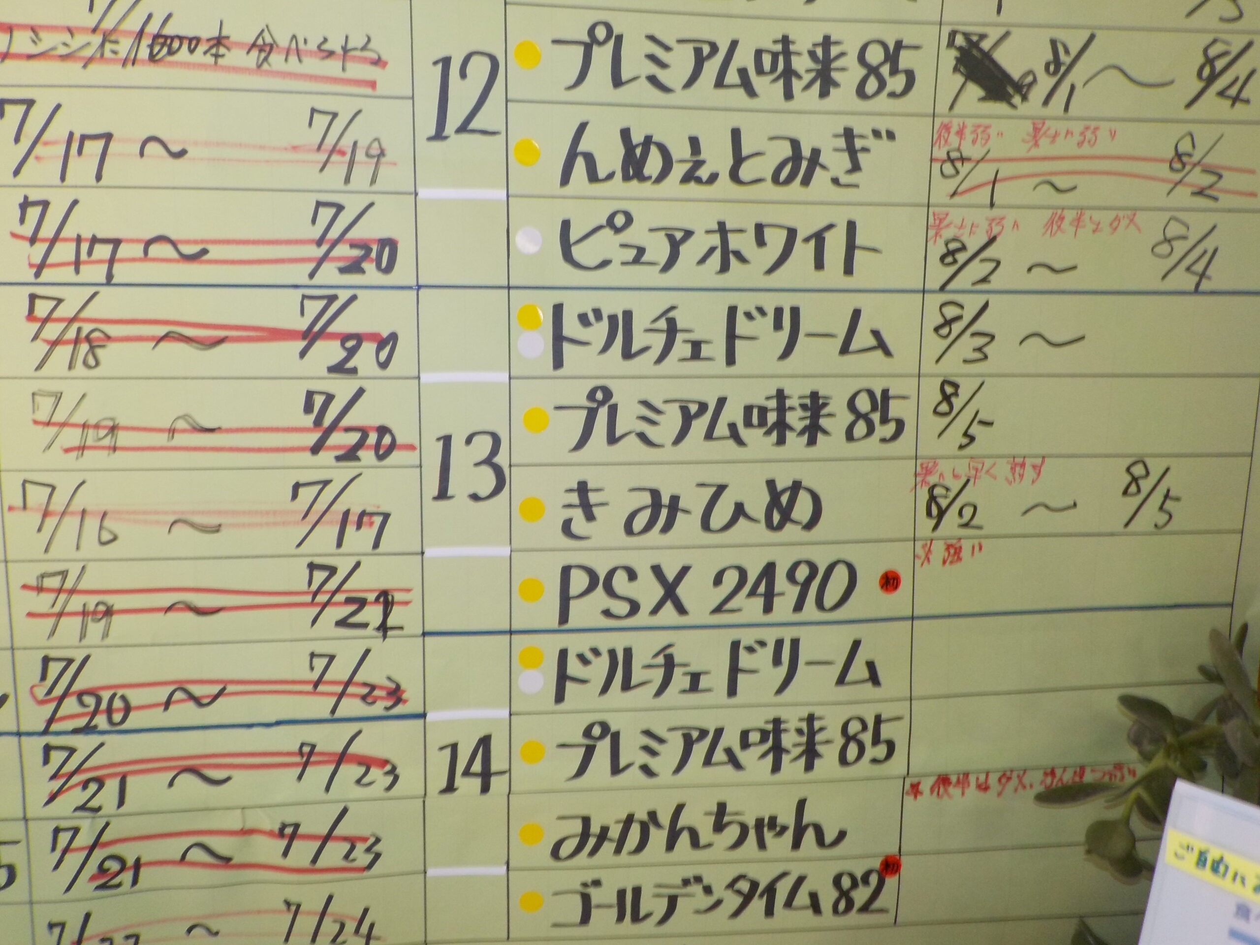 本日もお買い得品を中心に営業しています。ぶどうも少しだしています。