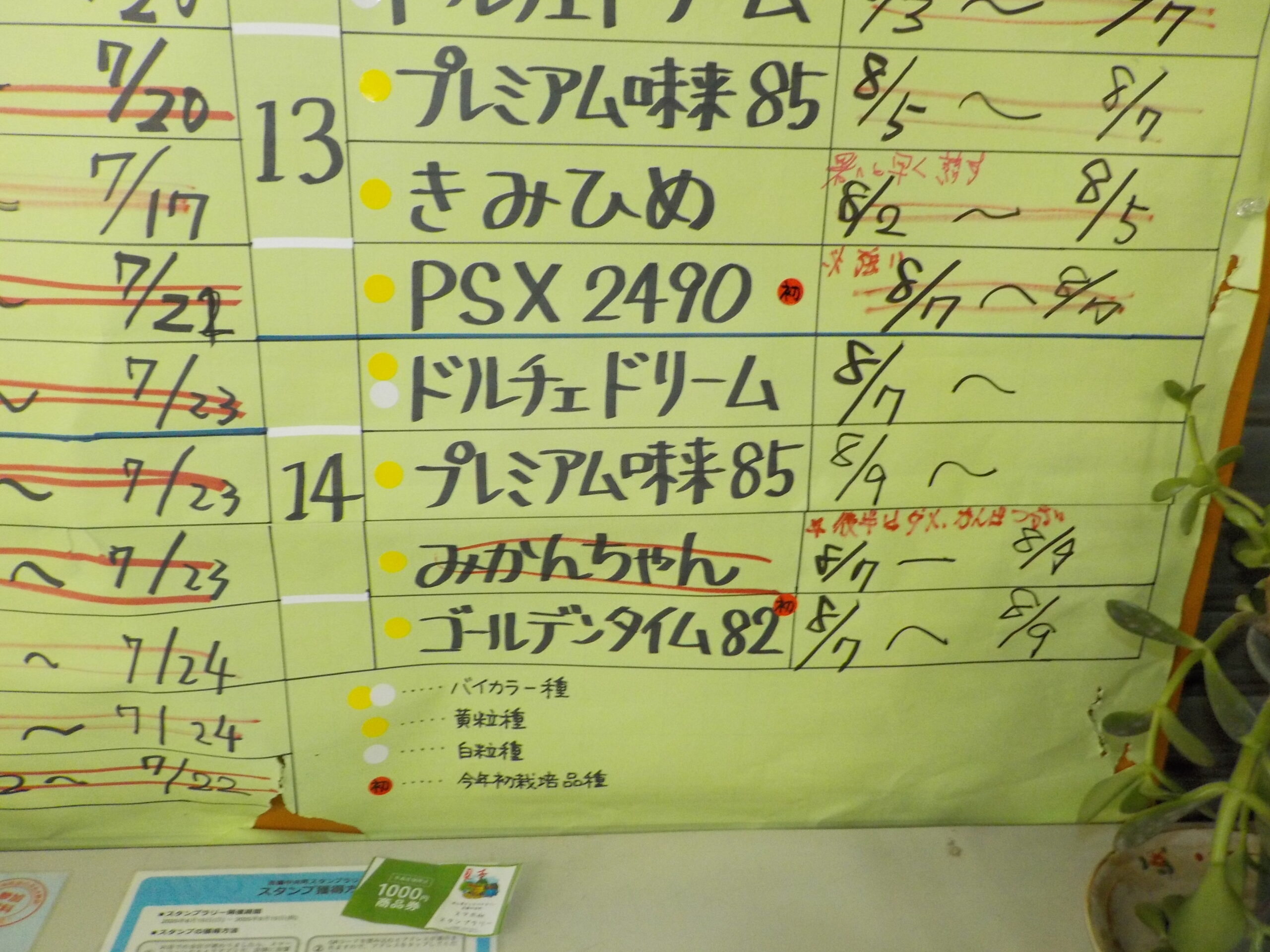 本日は４品種。営業は９時からです。収穫は今日と明日で終了予定です。
