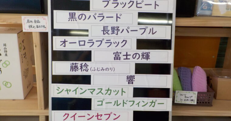 本日、10時からぶどうの直売を開始します。本日は１２品種です。
