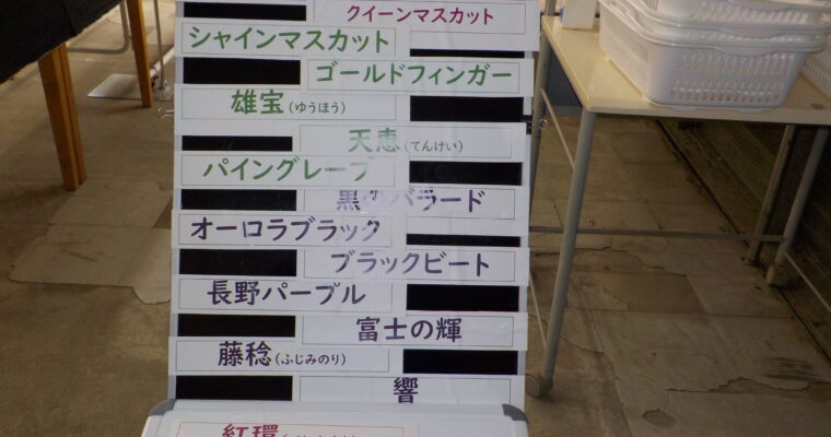 現在１７品種が収穫可能になっています。