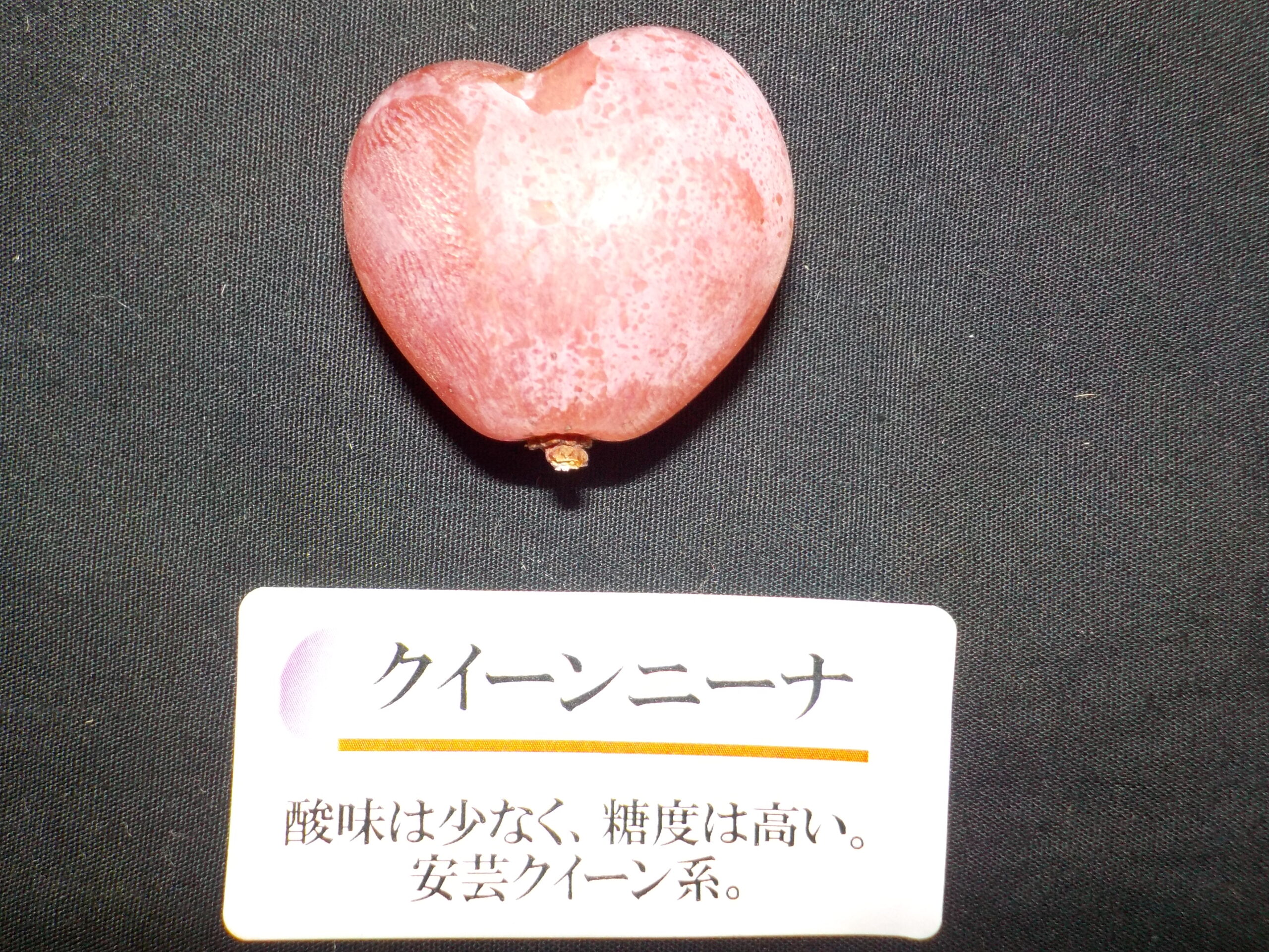 可愛い?! 甘くてきれいで好評の品種です。ピオーネの収穫も始まっています。直売中です。