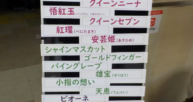 本日の品種です。明日も同じような品種です。現在、一番品種が多い時期になっています。