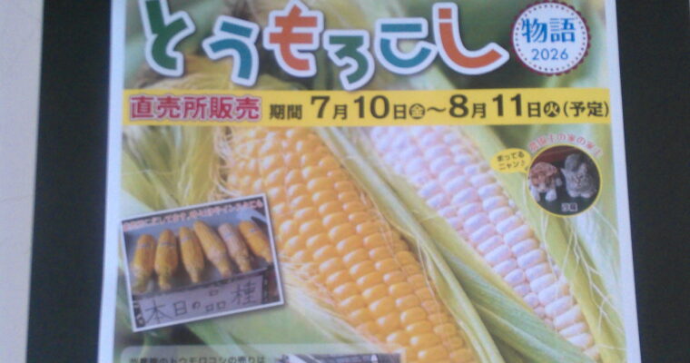 今年もトウモロコシよろしくお願いいたします