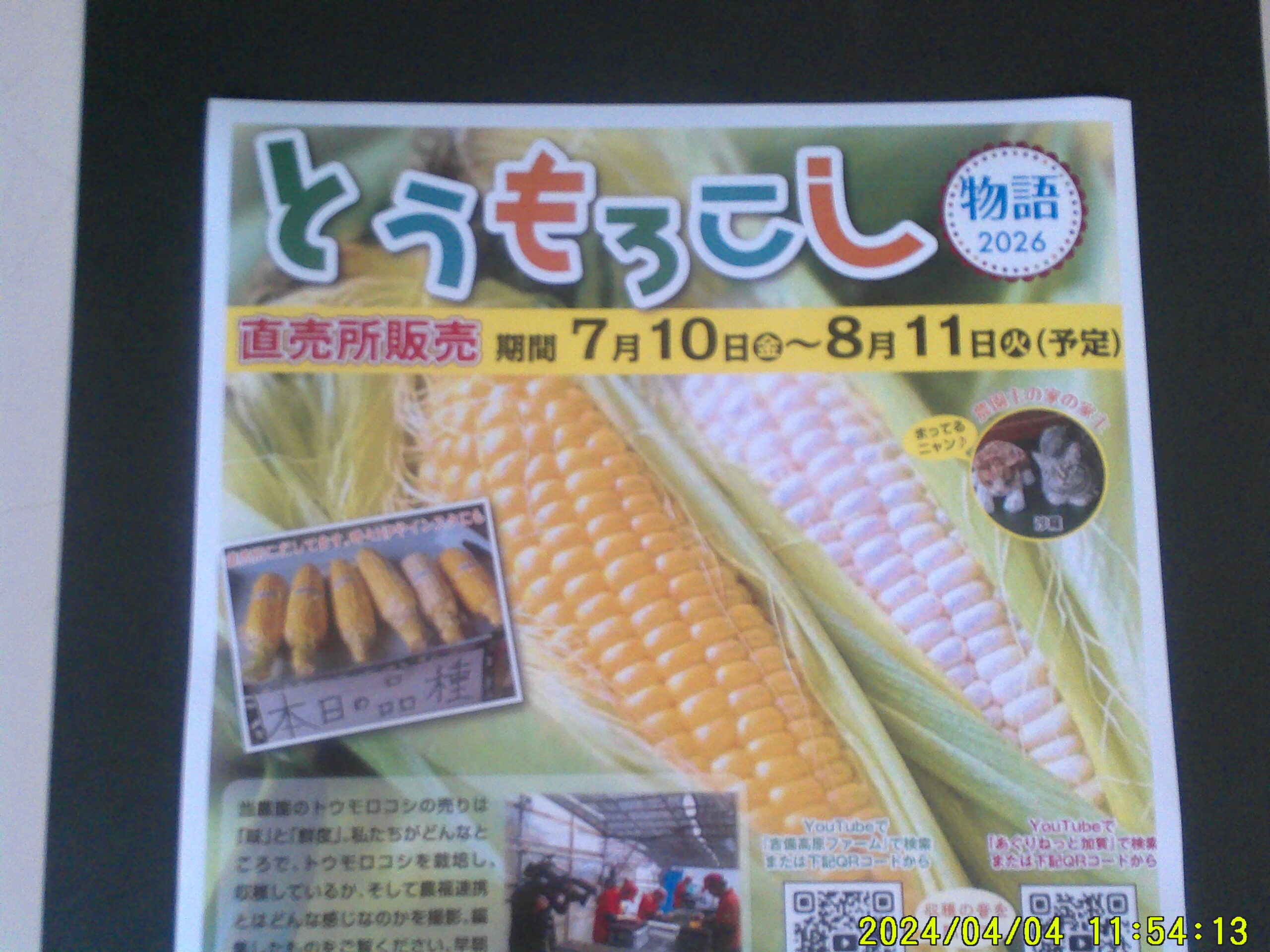 今年もトウモロコシよろしくお願いいたします