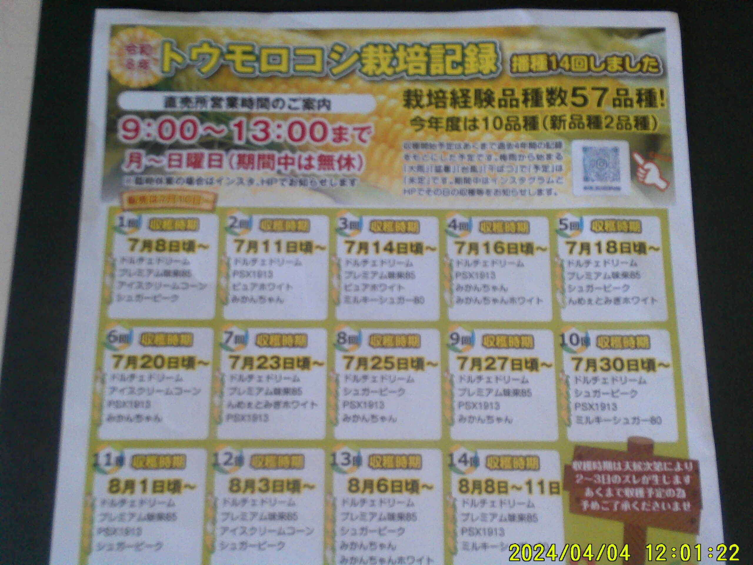 「とうもろこし物語」裏は本年度の収穫予定表です