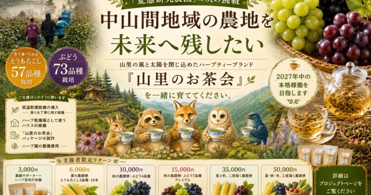 クラウドファンディングに挑戦します！