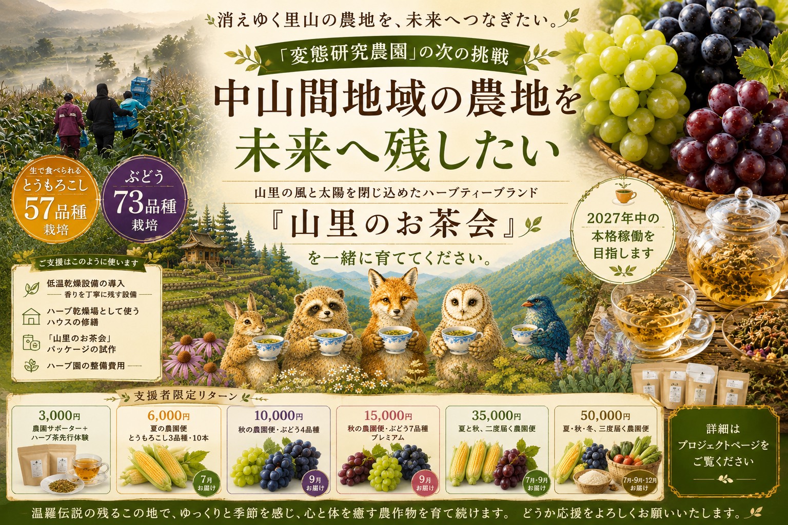 クラウドファンディングに挑戦します！