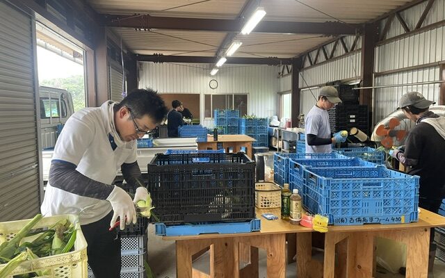 本日から直売を開始します。皆さま、本年もどうぞよろしくお願いいたします。