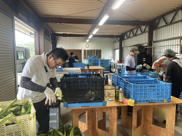 本日から直売を開始します。皆さま、本年もどうぞよろしくお願いいたします。