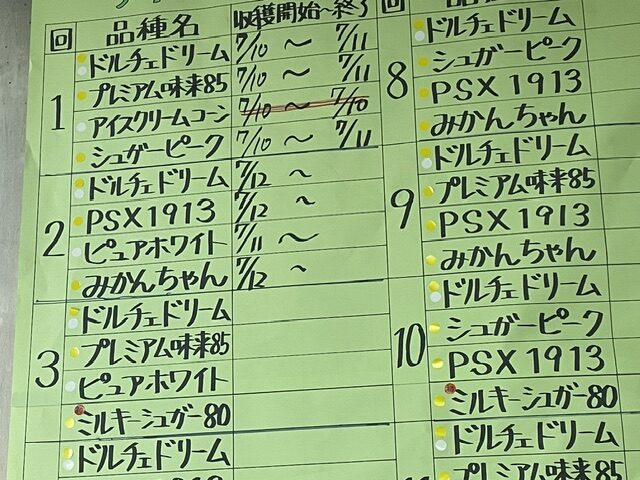 本日も4品種。ホワイトの品種がかわりました