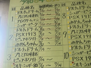 本日も昨日と同じ5品種です。
