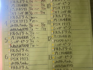 本日は3品種。3カラーそろっています。ドリーム・PSX1913・みかんちゃんホワイトの３品種です。
