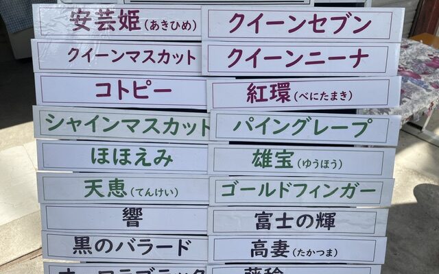 本日は１８品種です。ゴールドフィンガーが今、全盛期です。