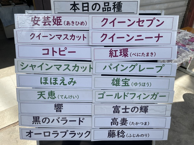 本日は１８品種です。ゴールドフィンガーが今、全盛期です。