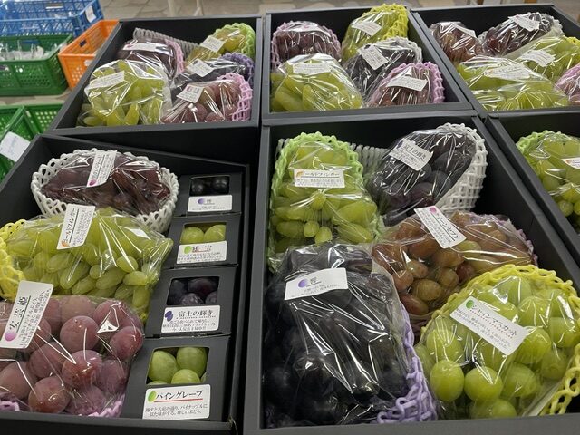 始まっています。多品種ぶどうの醍醐味セット。これから収穫終了と収穫始まりが交互になる時期です。