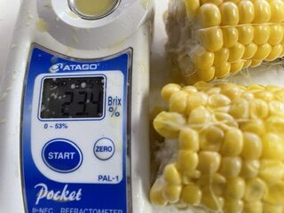 明日の日曜日は臨時休業です。すみません。