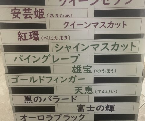 本日の品種です。今年は早い!