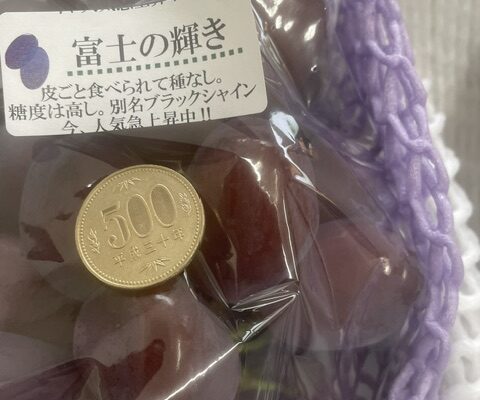 「富士の輝き」別名ブラックシャインの品種の力