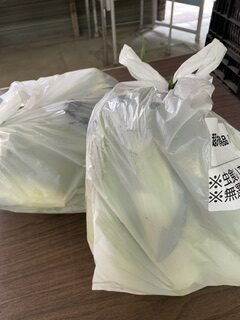 すみません、画像を間違えました