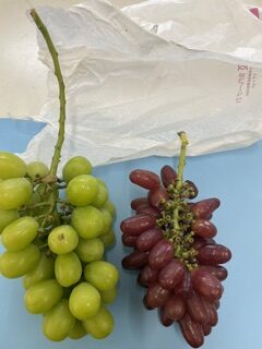 明日、火曜日は臨時休業いたします。申し訳ありません。