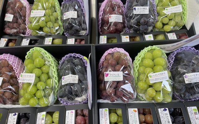 少人数でも多品種を召し上がりたい方用のセットです。