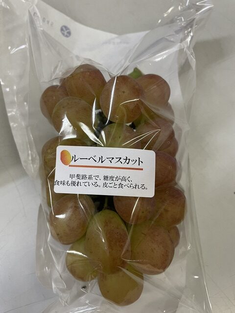 ルーベルマスカット収穫しました。これで今年の当農園の全種類のぶどうがでそろいました。