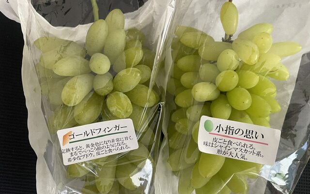 見た目は同じでも味は全く違うぶどうがでています。