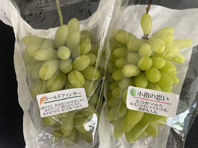 見た目は同じでも味は全く違うぶどうがでています。